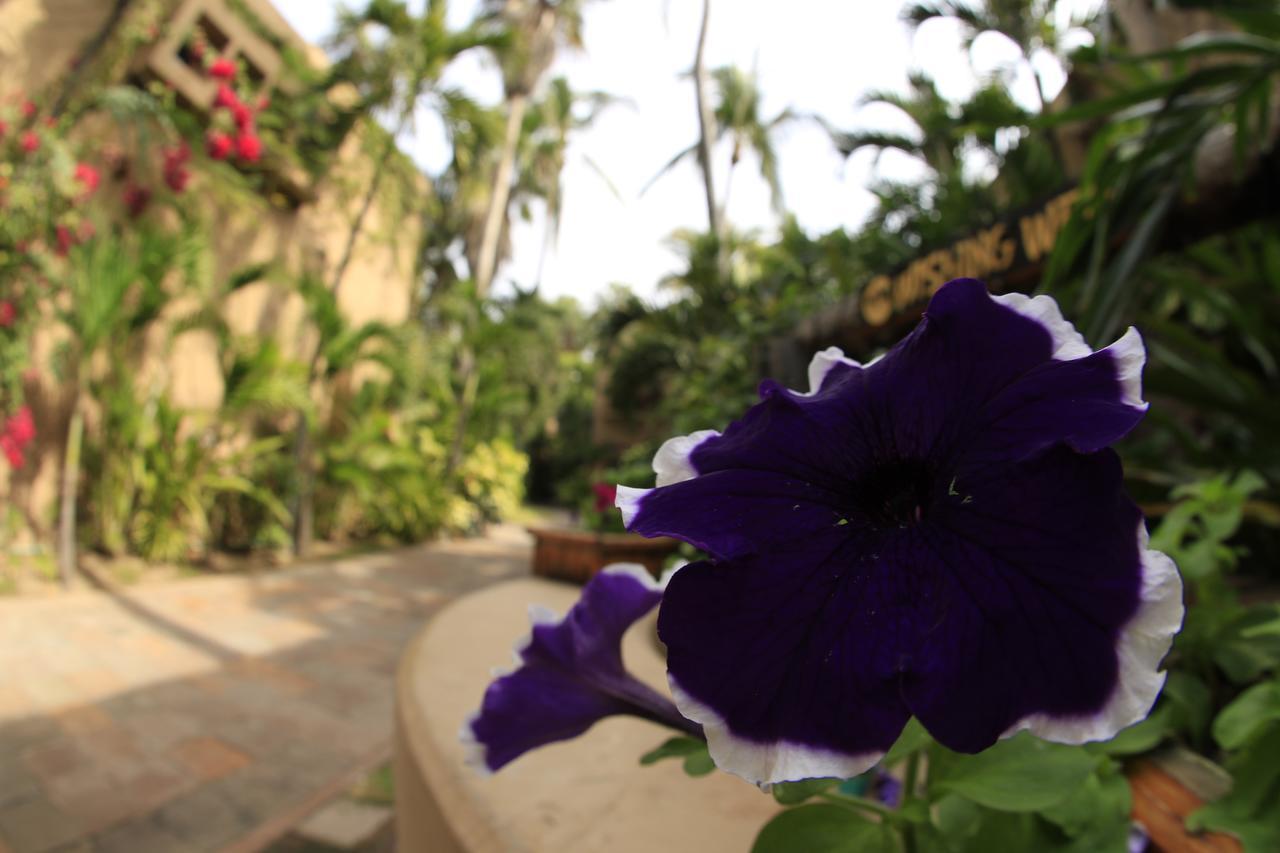 Villas El Rancho Green Resort มาซาตลัน ภายนอก รูปภาพ